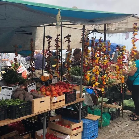 The Blue House Apartment