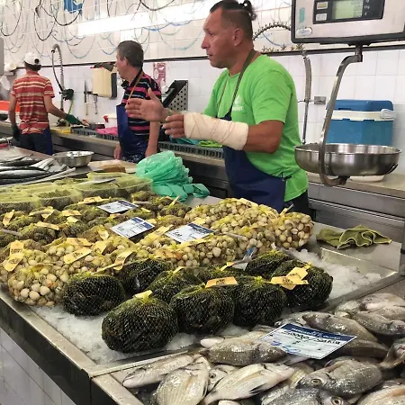 Apartment The Blue House *